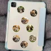 Hundewelpen- Kätzchen-Muster Aufkleber